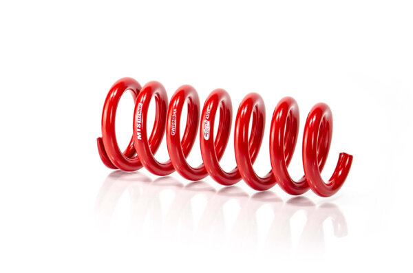 Pièce détachée MTS Technik Ressort auxiliaire - GWFE313HA