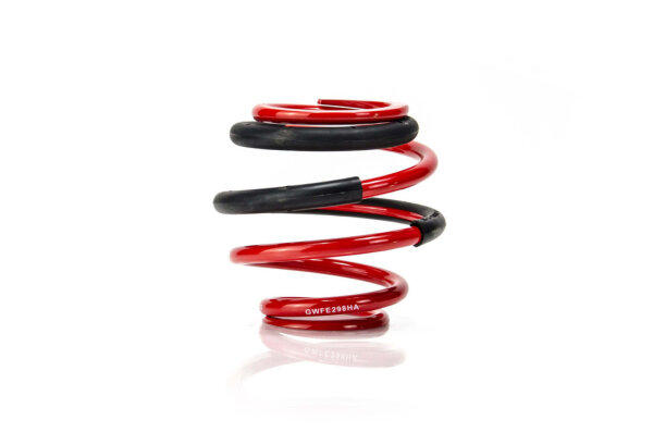 MTS Technik Pièce de rechange Ressort auxiliaire - GWFE298HA