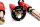 Suspension à combinés filetés MTS Street Gold compatible avec BMW 3 (E21) 323 i 105 KW MTSGWBM17