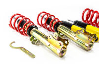Suspension à combinés filetés MTS Street Gold compatible avec Ford USA MUSTANG 6 Convertible 2.3 EcoBoost 243 KW MTSGWFO24