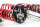 Suspension à combinés filetés MTS Street Inox compatible avec BMW 5 (E39) 525 d 120 KW XMTSGWBM101