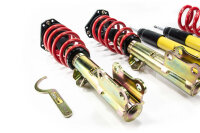 Suspension à combinés filetés MTS Street Gold compatible avec Ford USA MUSTANG 6 Convertible 2.3 EcoBoost 231 KW MTSGWFO25