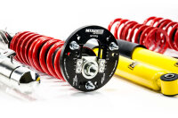 Suspension à combinés filetés MTS Stance Inox compatible avec BMW 3 (E46) 318 d - 85 KW XMTSGWBM100-S