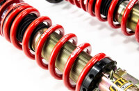 Suspension à combinés filetés MTS Street Gold compatible avec BMW 3 Compact (E36) 318 ti - 103 KW MTSGWBM117