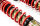 Suspension à combinés filetés MTS Street Gold compatible avec BMW 3 Compact (E36) 318 ti - 103 KW MTSGWBM117